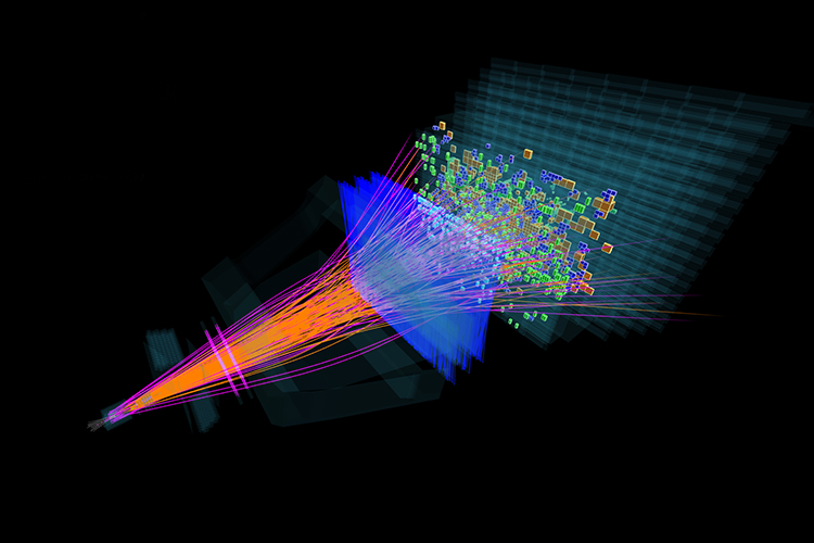  Large Hadron Collider beauty (LHCb)