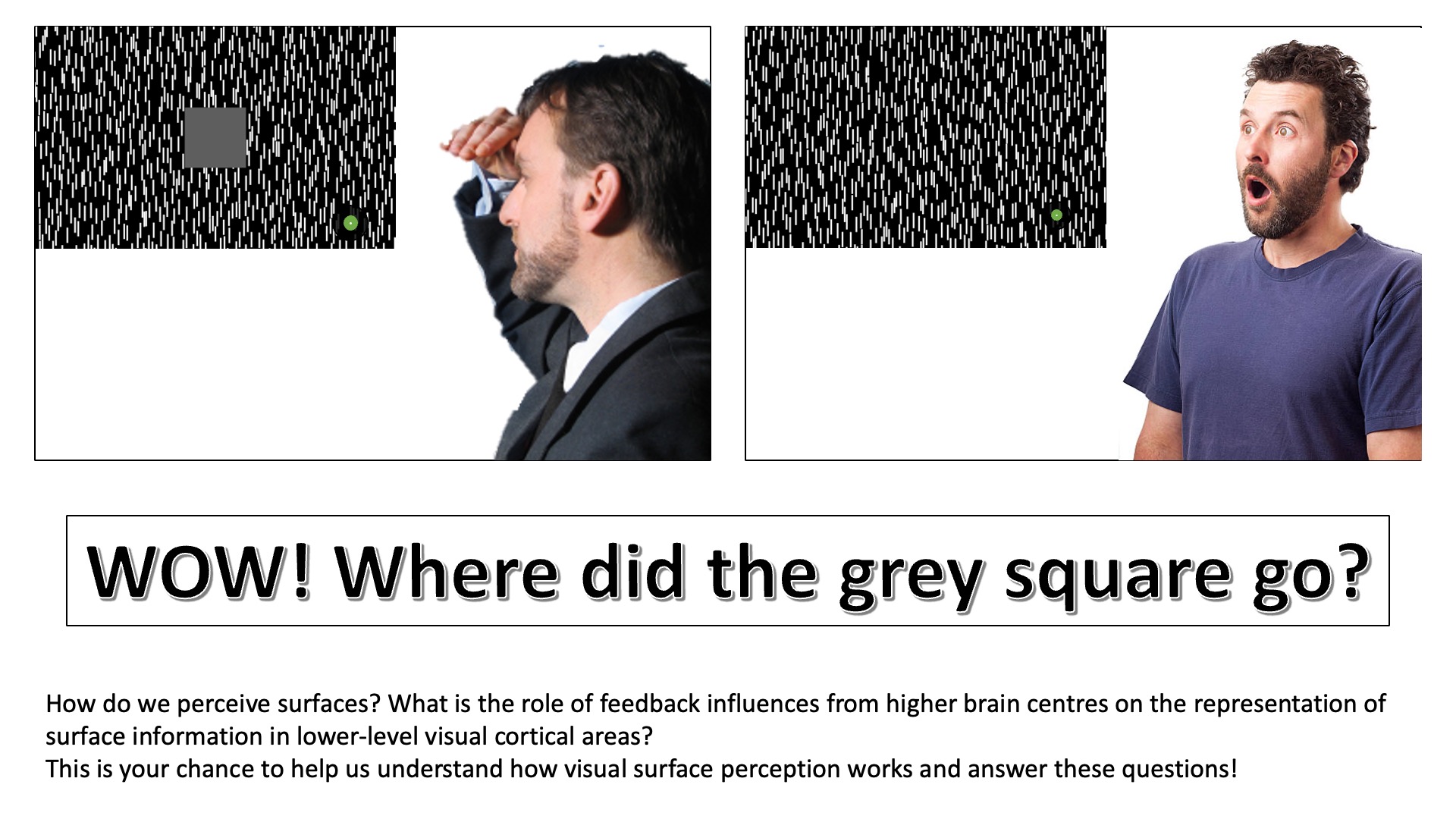 fpn study grey square