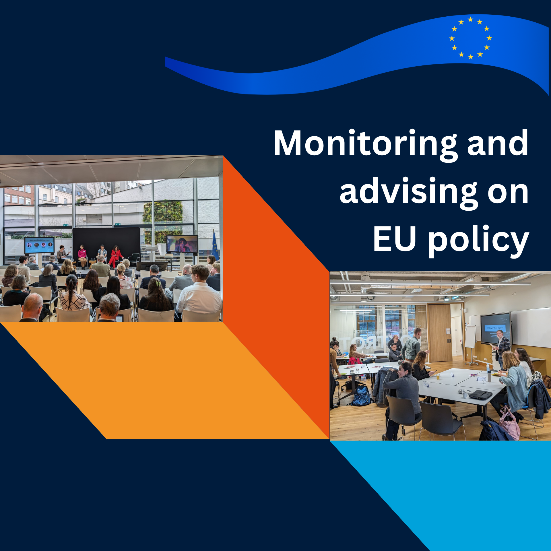 Monitoring and advising on EU policy