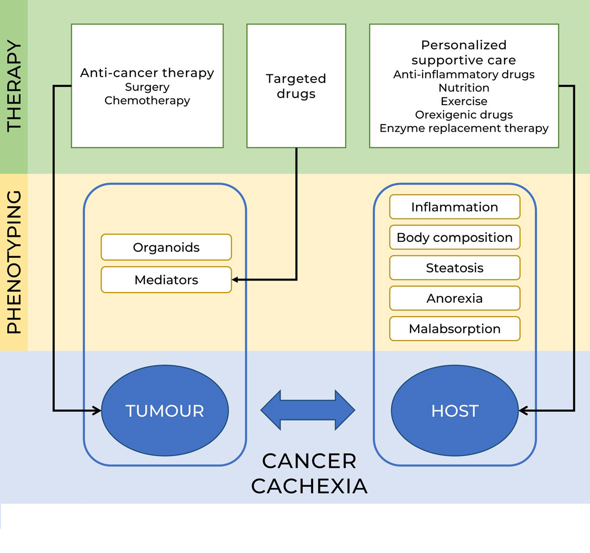 NUTRIM research - Cancer Cachexia