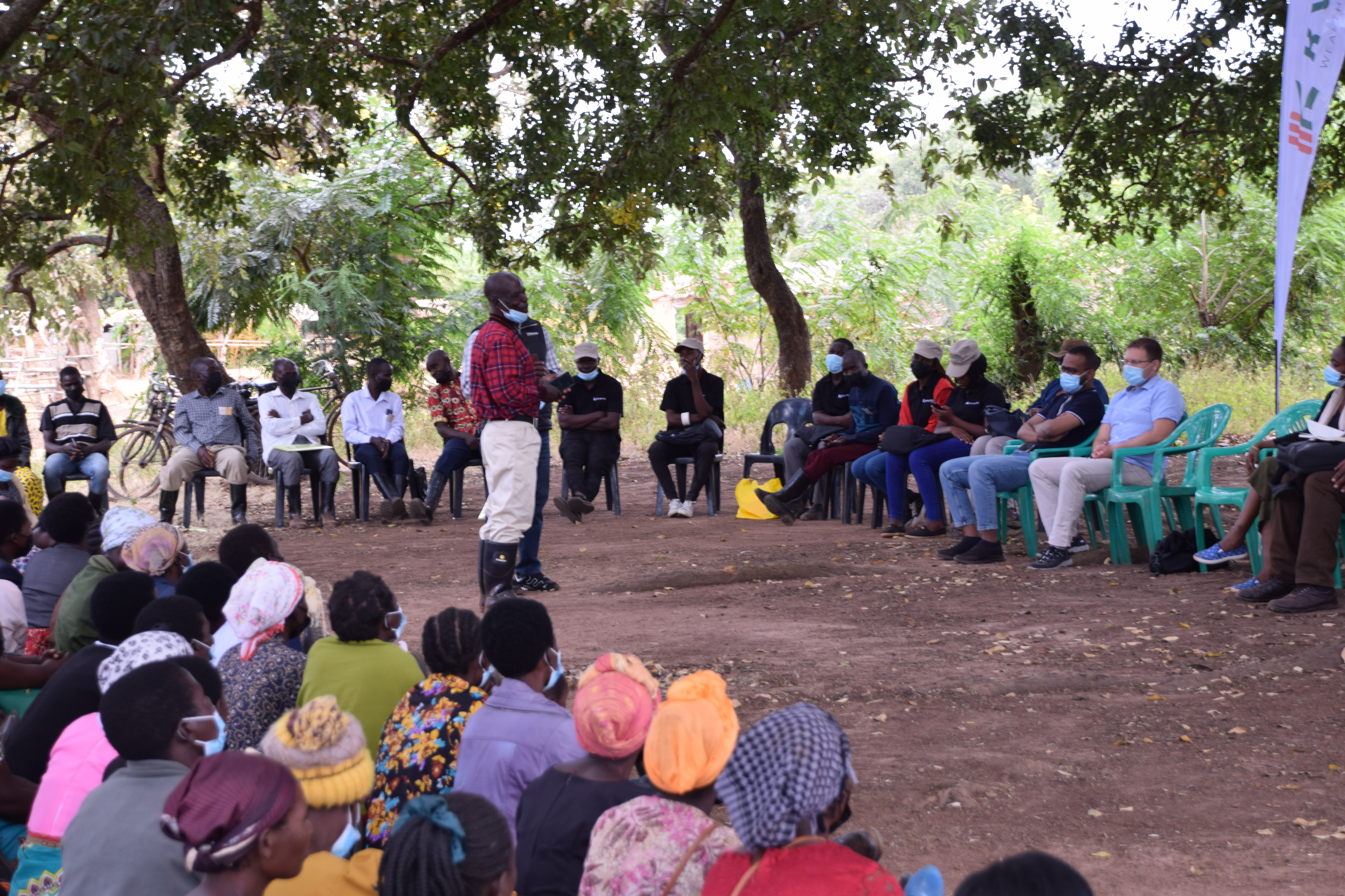 Malawi tree gathering