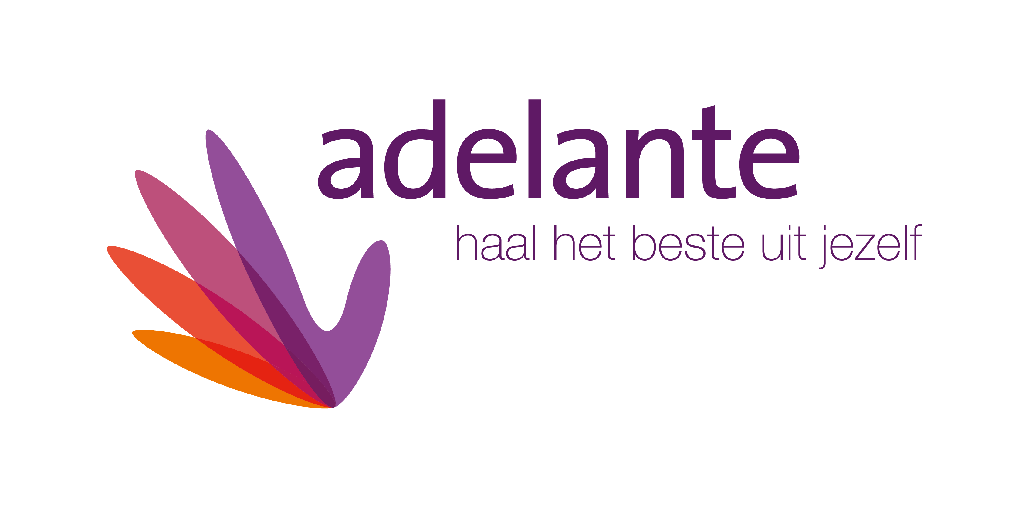 Adelanten logo 2