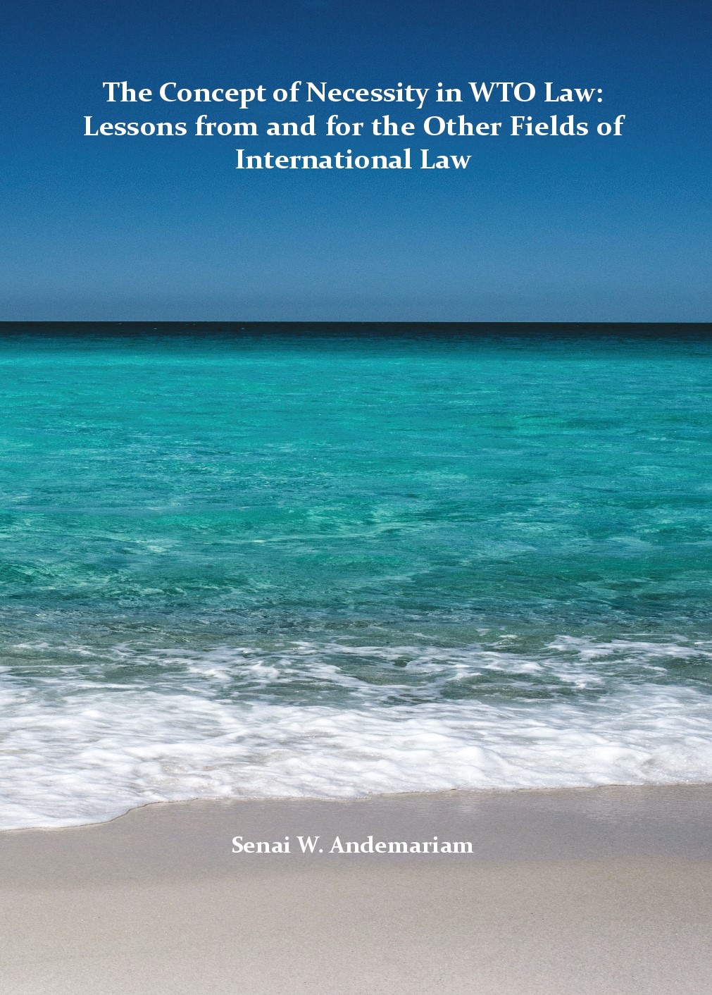 thesis on law and economics andemariam