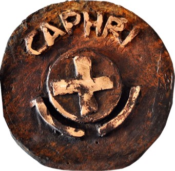 CAPHRI Award
