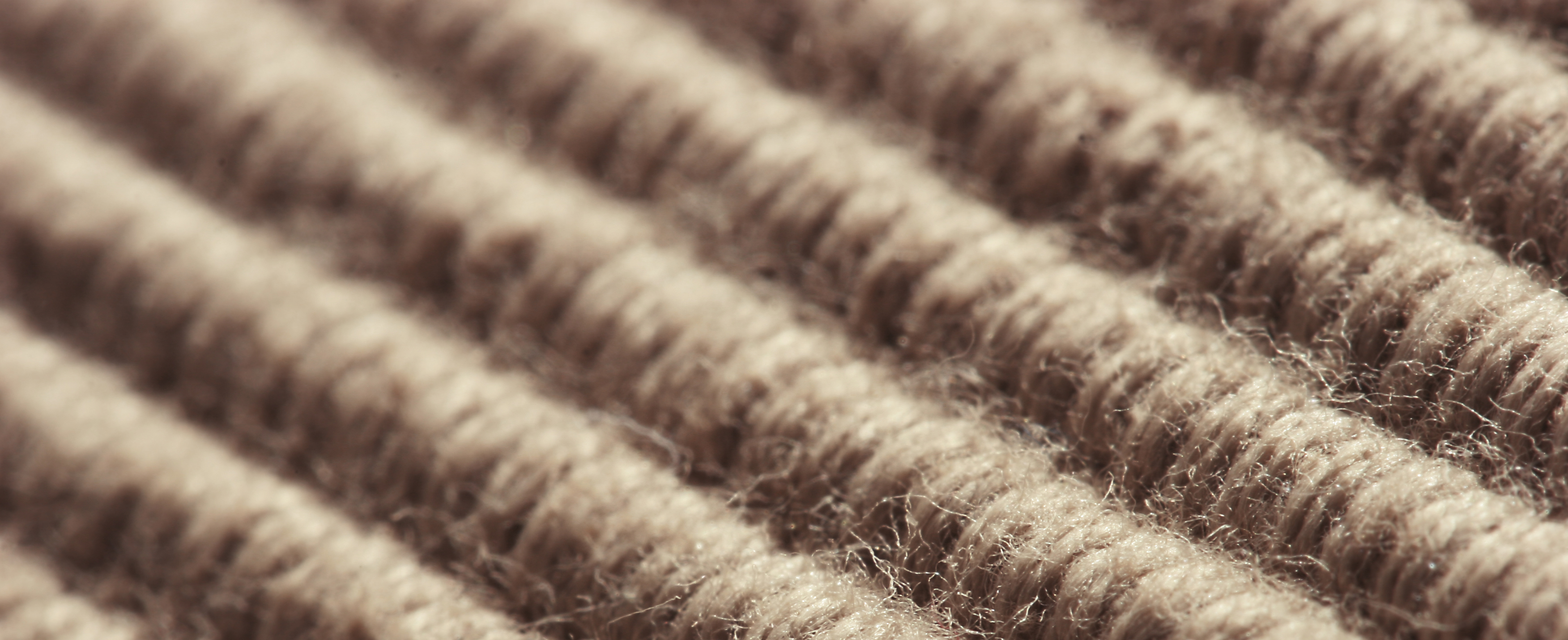 Textile from biobased material via BioTex Fieldlab soon to be available ...