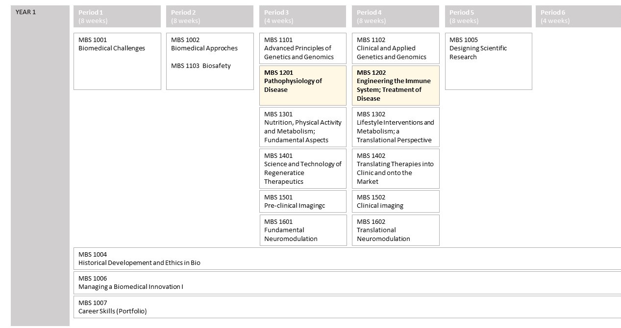 Immunology in BMS Master 
