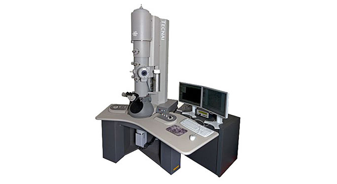 Combining-the-iCorr-fluorescence-light-microscope-module-and-the-FEI-Tecnai-electron-microscope
