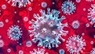 corona virus