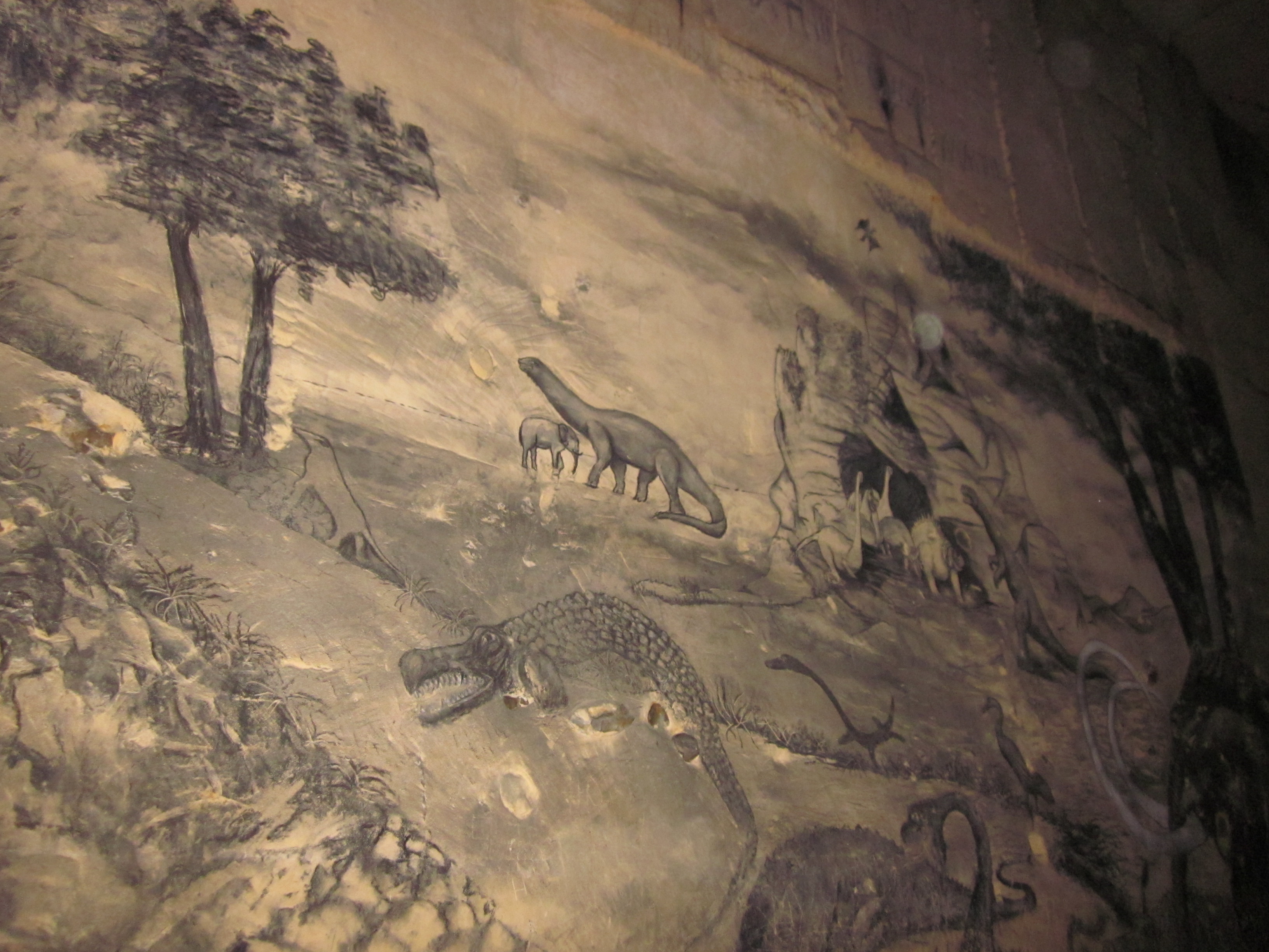 Caves