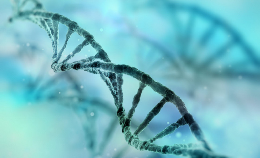 DNA streng genetica