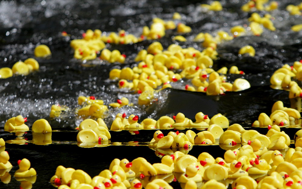 Duckrace 2018