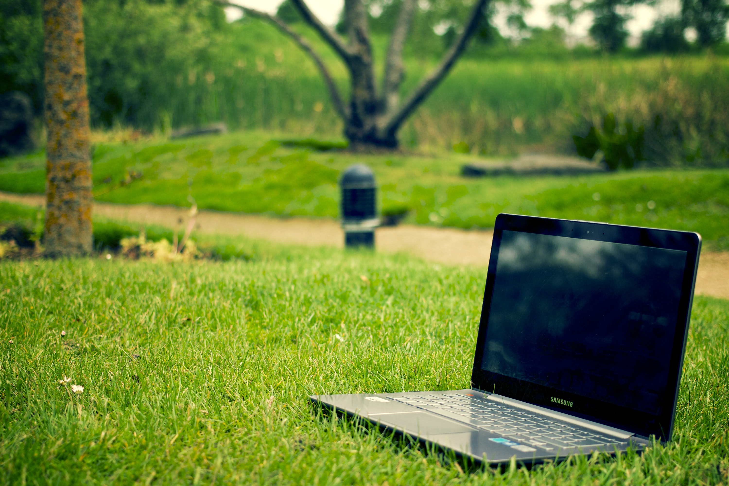 laptop_grass