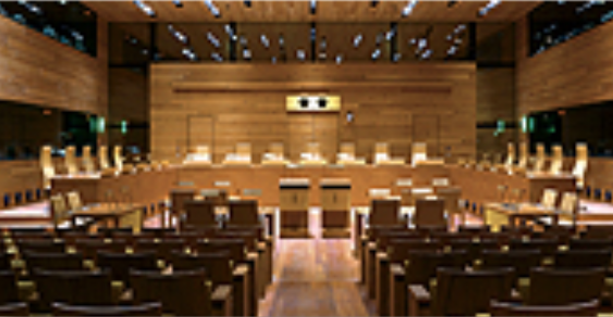 Effective judicial protection in EU law MCEL