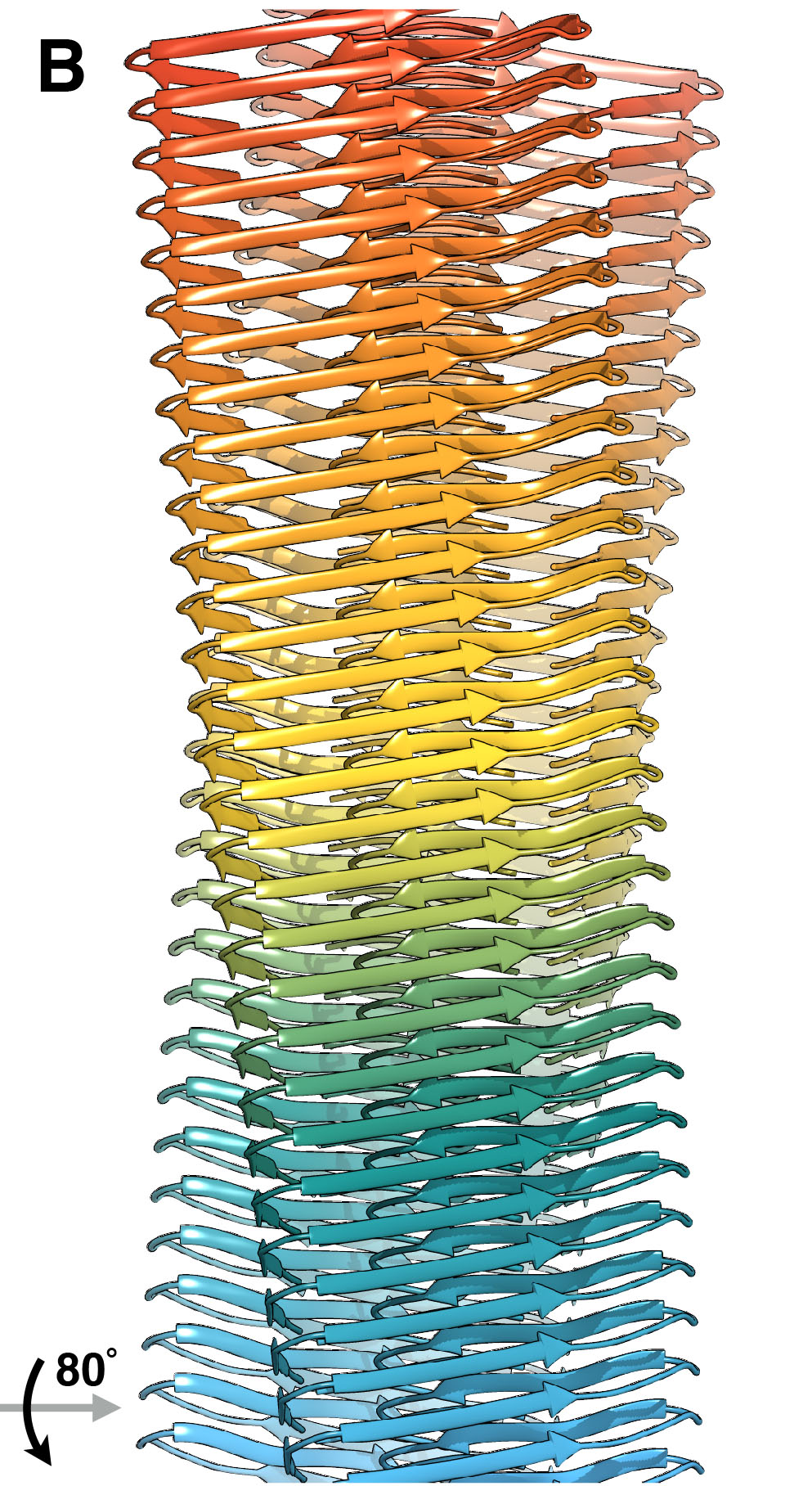 Structure Amyloid-beta