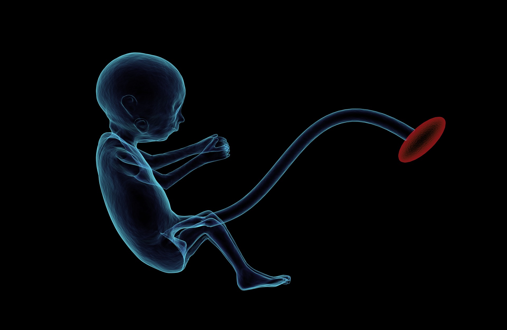 Embryo blog IGIR  LBM_MLR