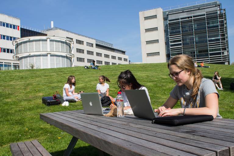 Students studying outside at a picnic table