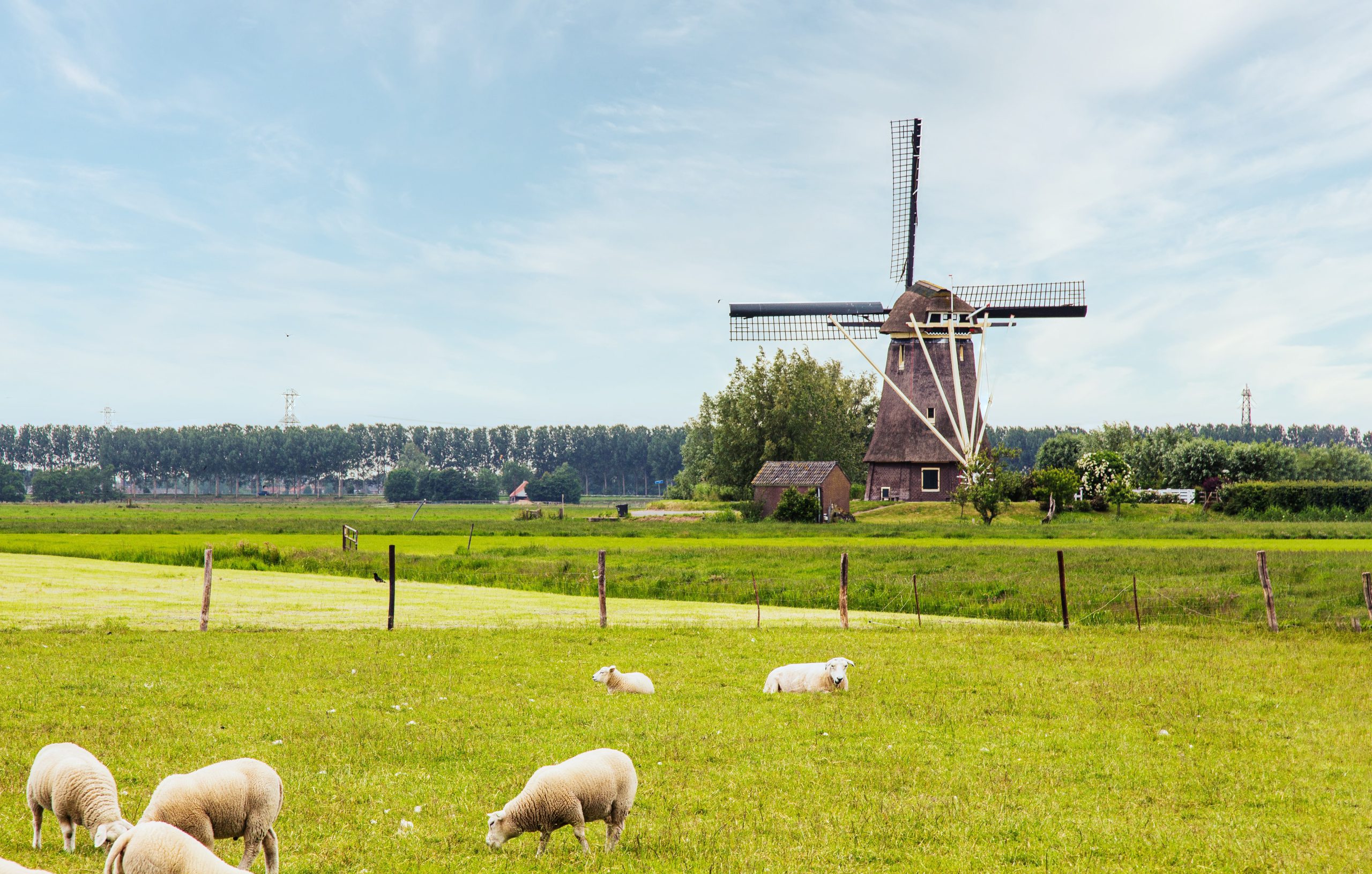 grensbewoner_centraal_en_grensbestuurder_meer_positie.jpg