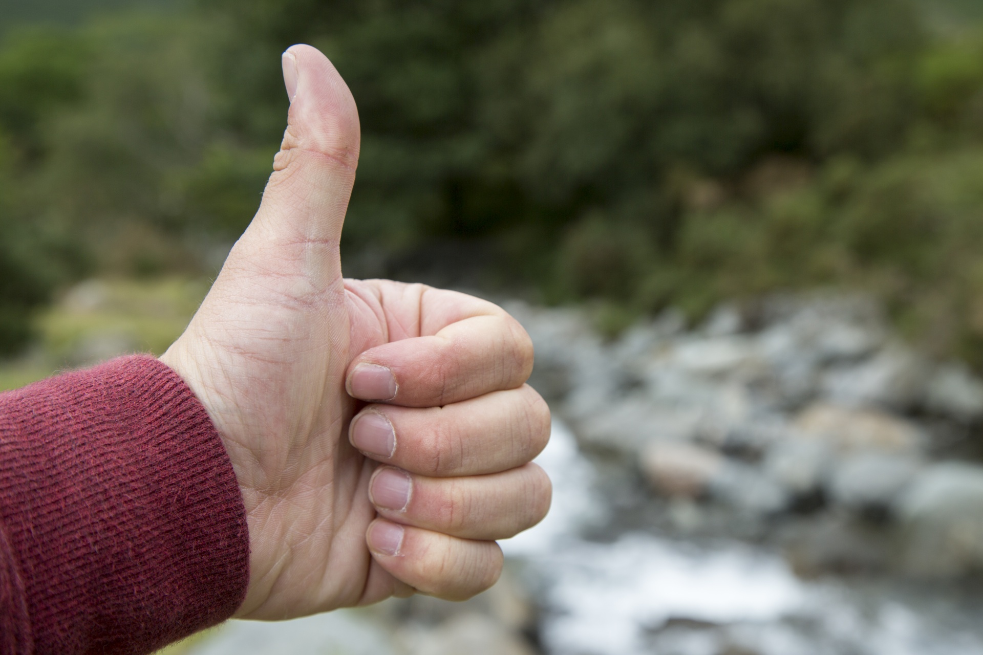 hand showing a thumb up sign