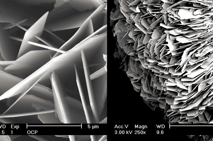 Instructive Biomaterials Engineering