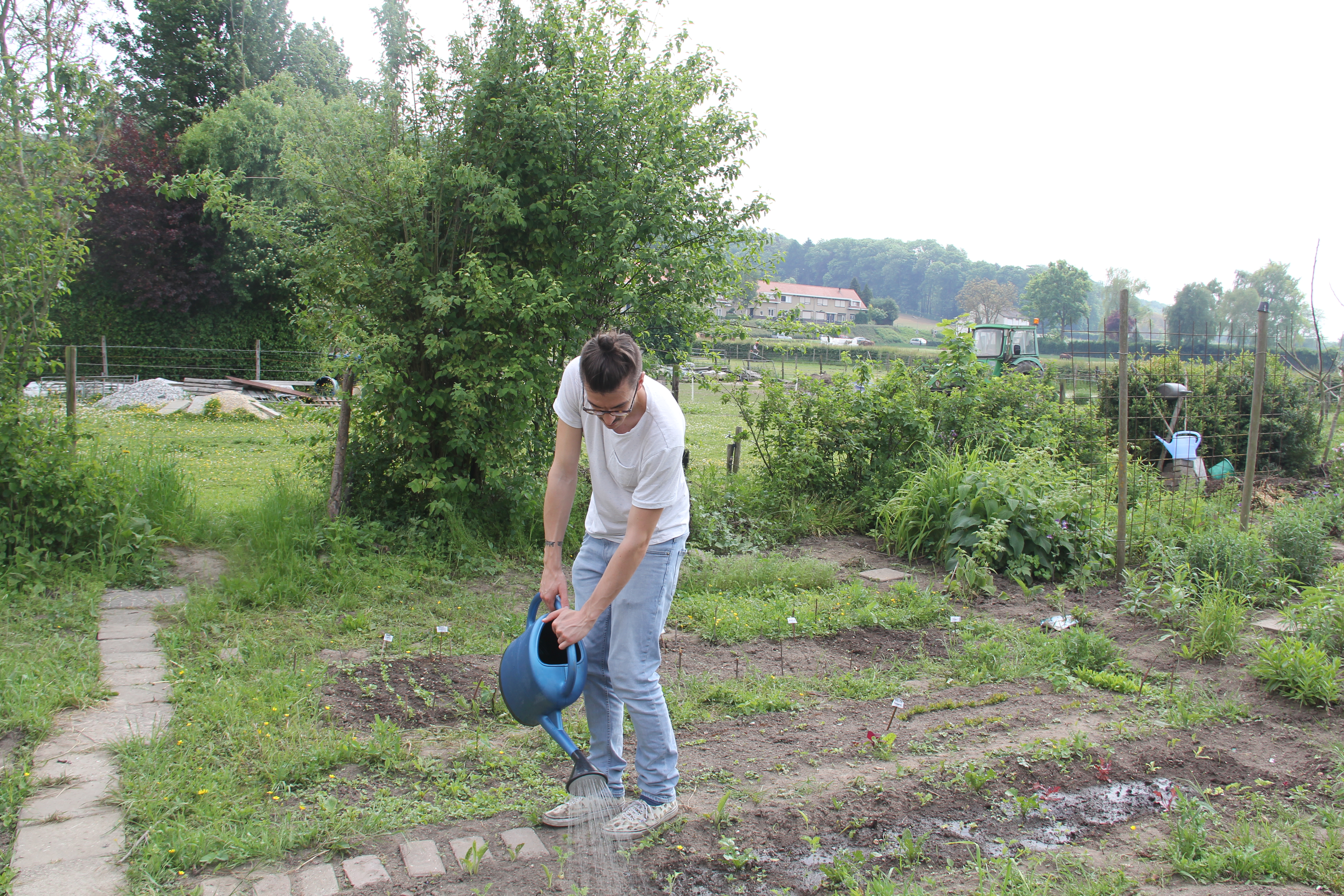 Urban garden Colin