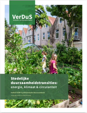 VerDus-synthesestudie