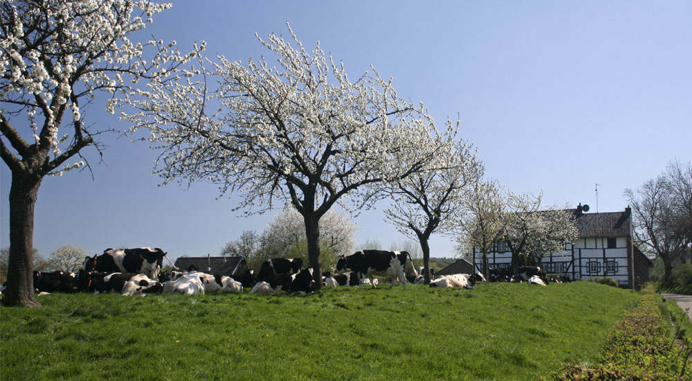 Dorpen in het Limburgs heuvelland