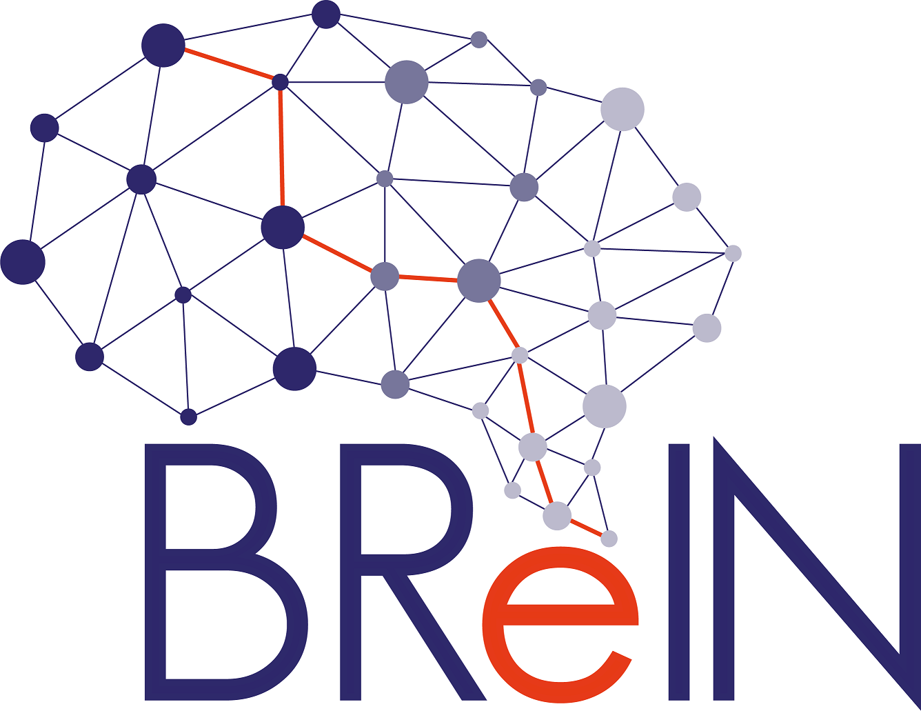 Logo BReIN small