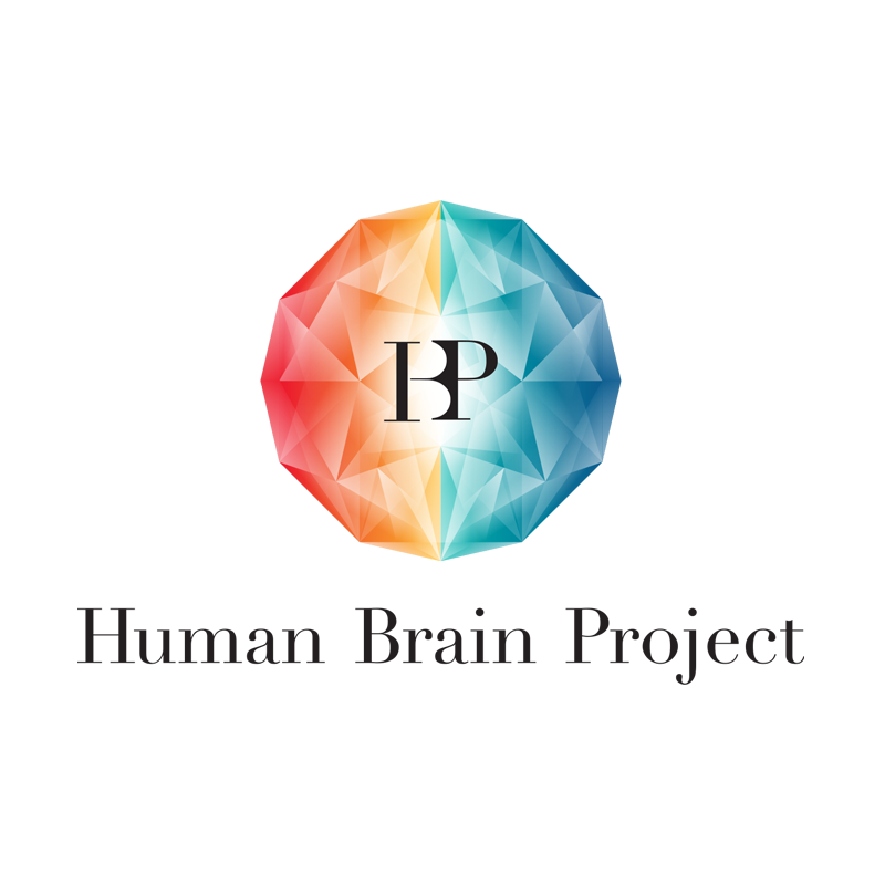 MaCSBio - Human Brain Project