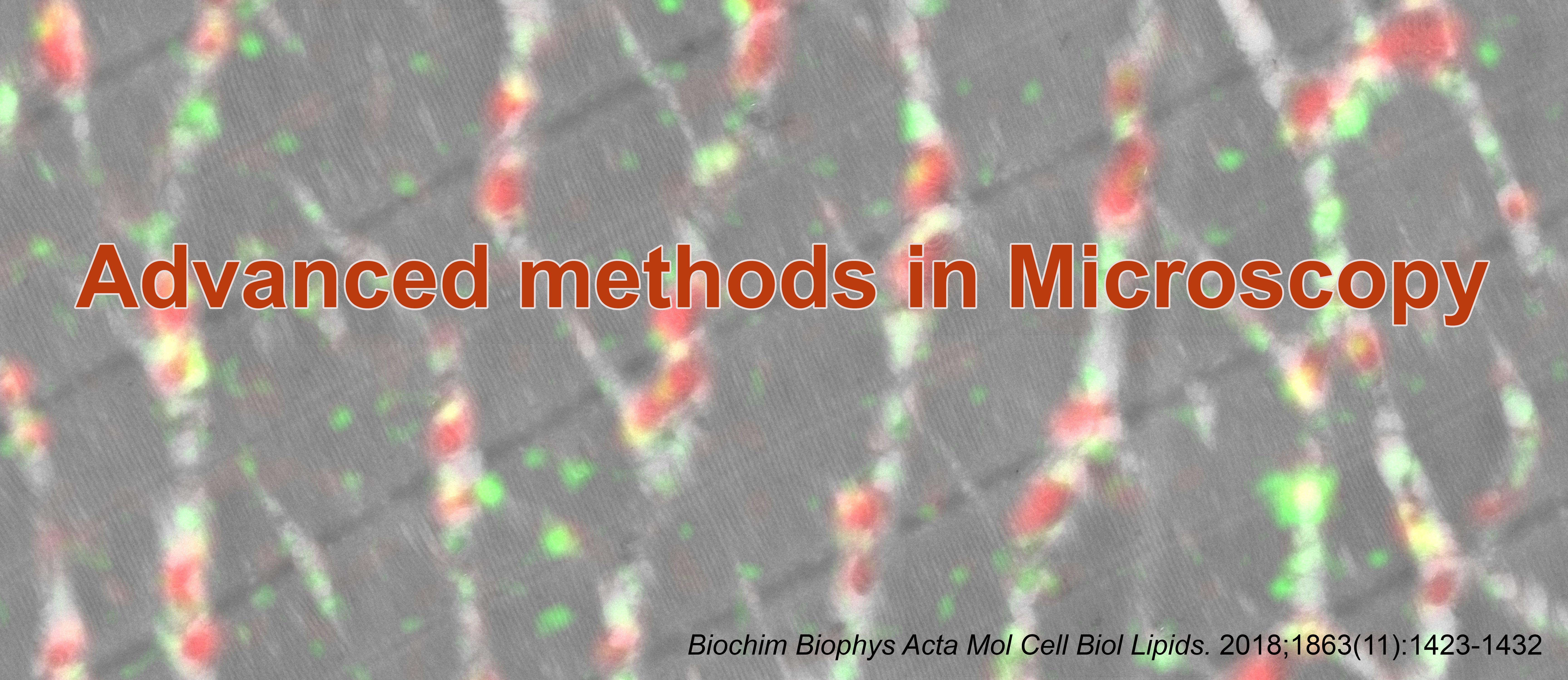 Microscopy Autumn School 2022