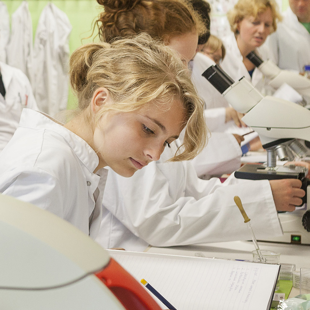 Maastricht Science Programme