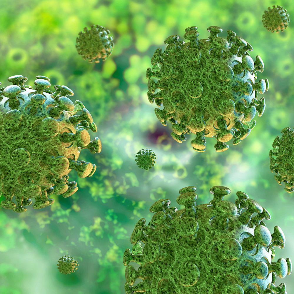 Coronavirus