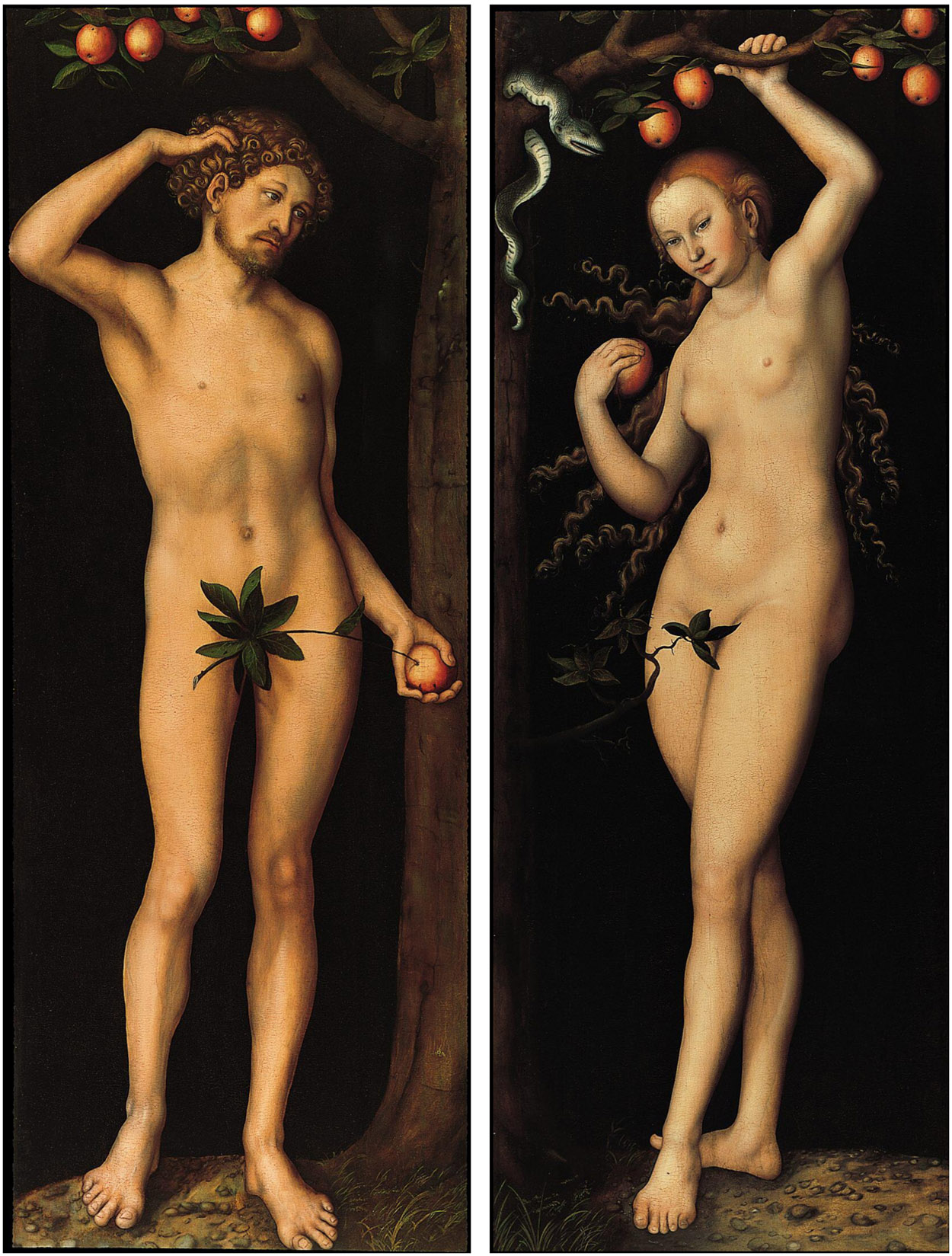 cranach