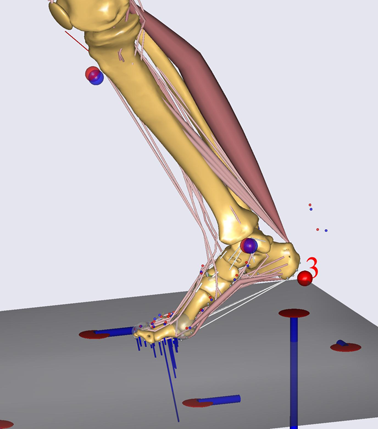 CAREN movement system - 'Flight simulator'