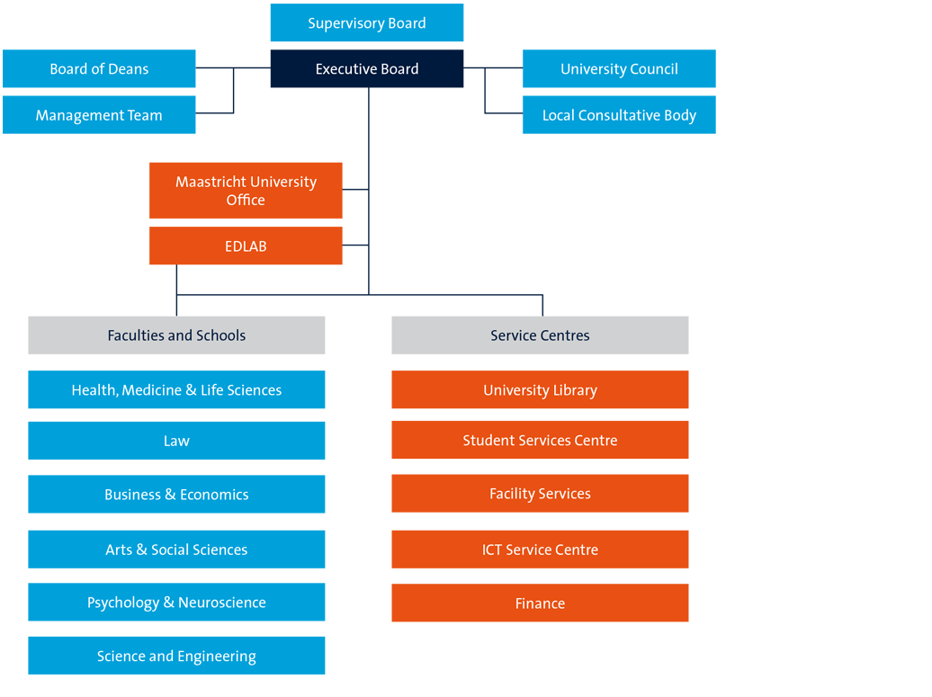 Organigram UM