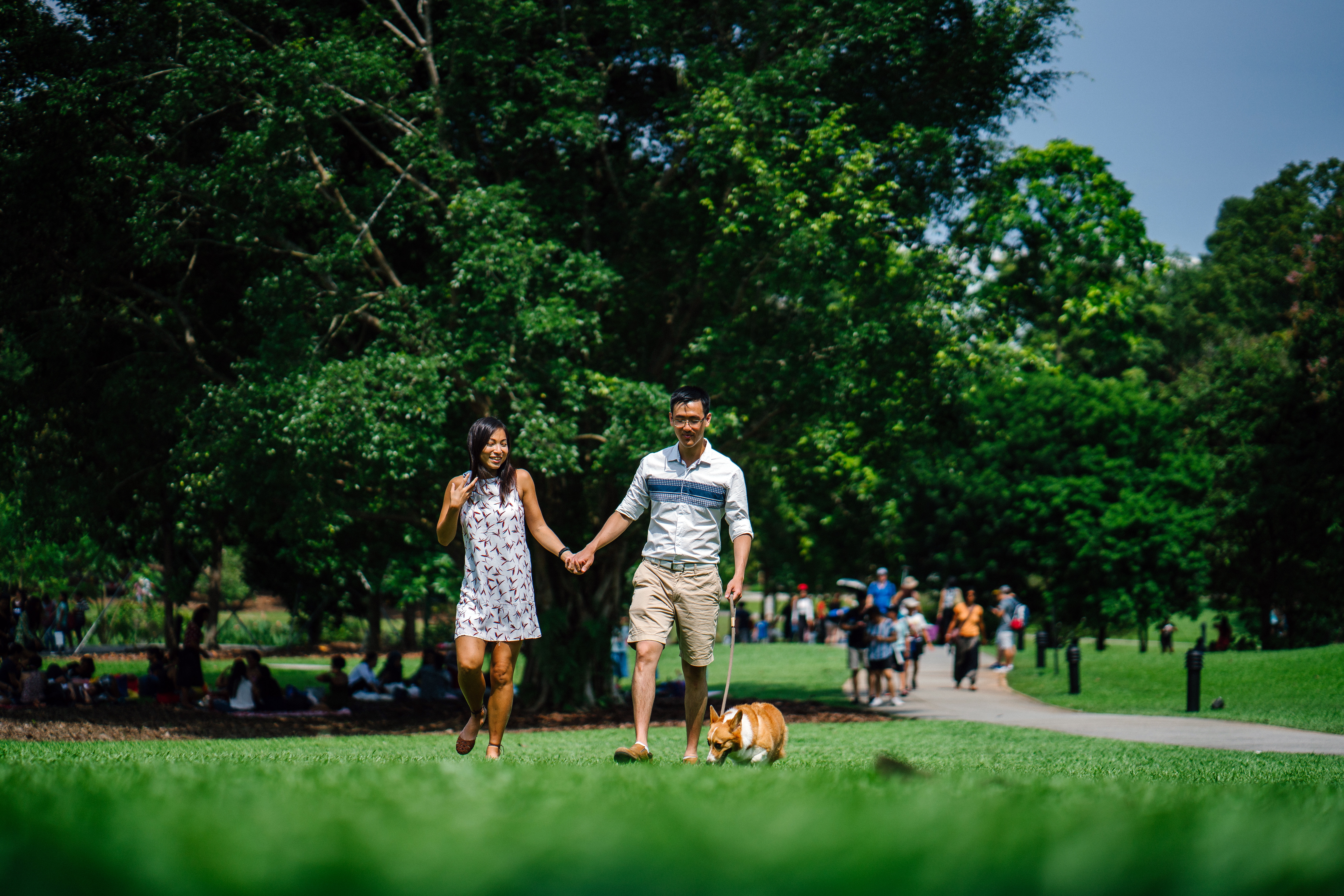 The new framework from UM and Stanford Natural Capital Project researchers is designed to help city planners understand where and how green spaces might best support human health. 