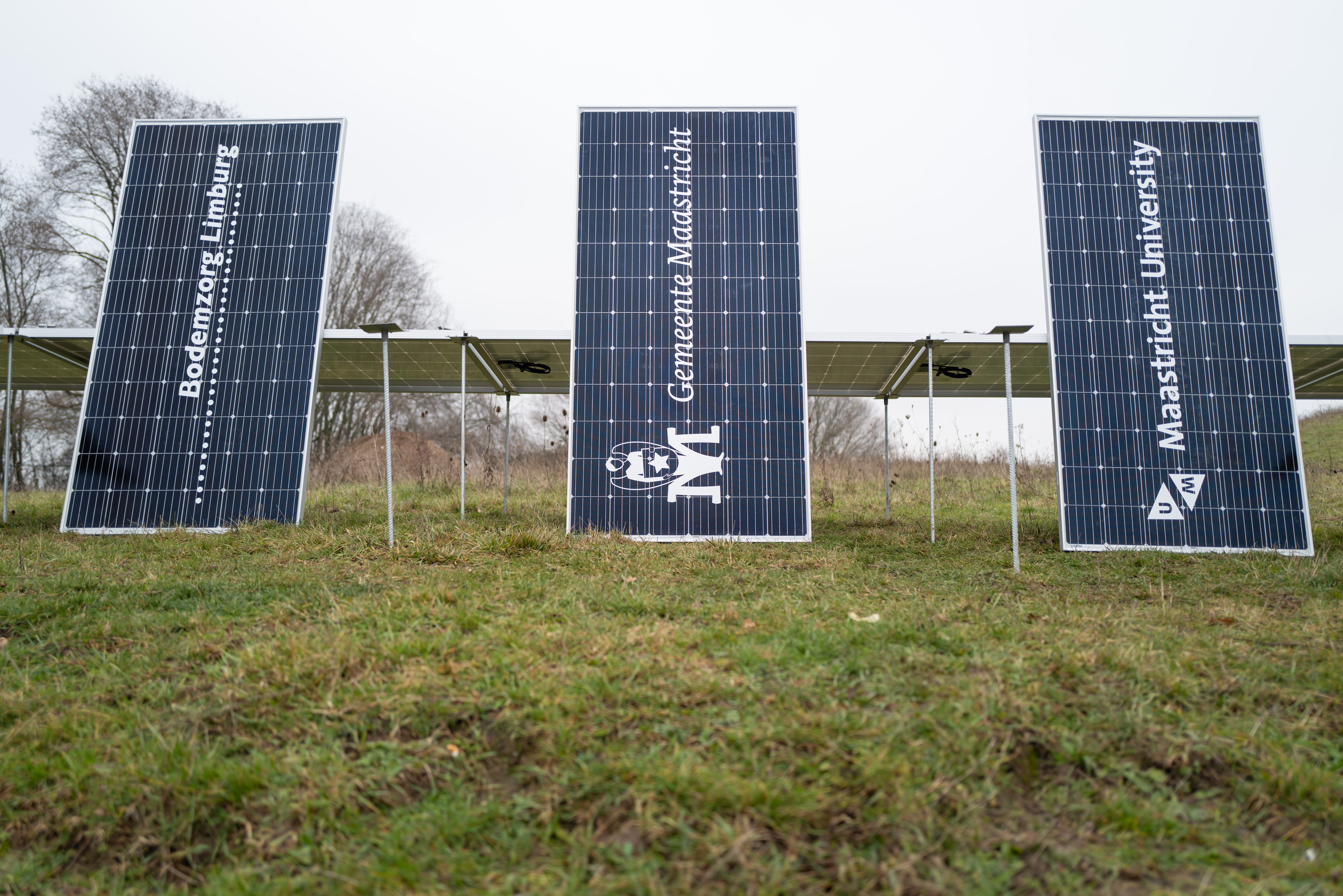 zonneweide belvedereberg