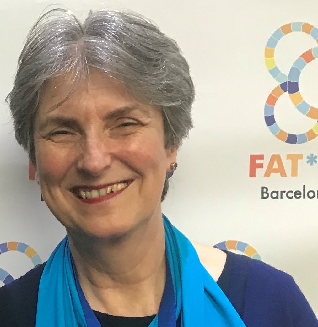 Prof. Dr. Mireille Hildebrandt
