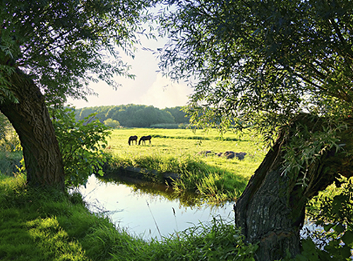 psychotropic drugs in Dutch surface water