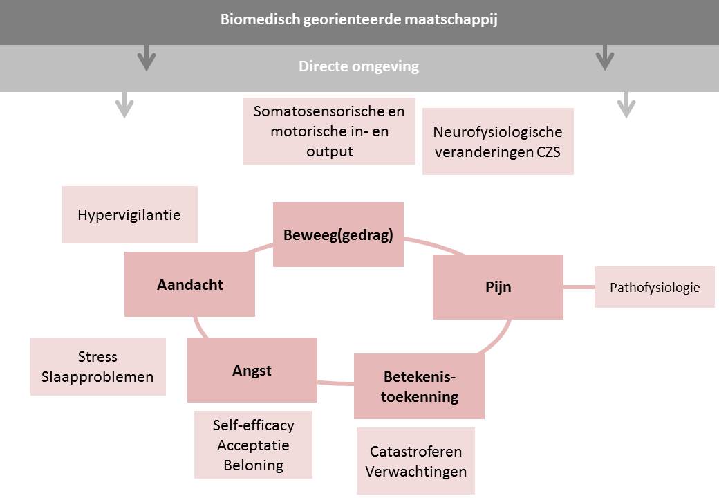 Research in Rehabilitation in Chronic Pain