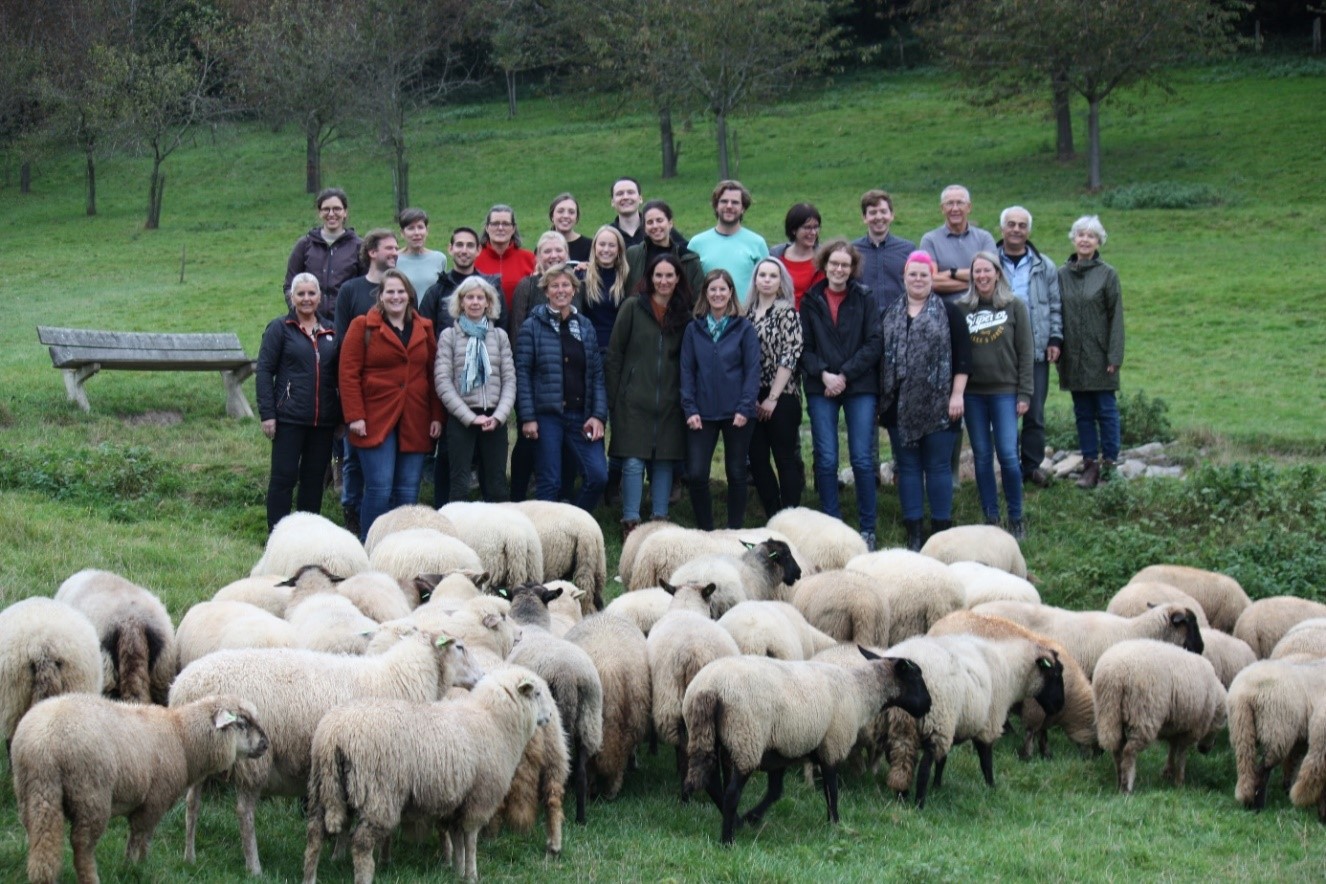 Vakgroep Reumatologie