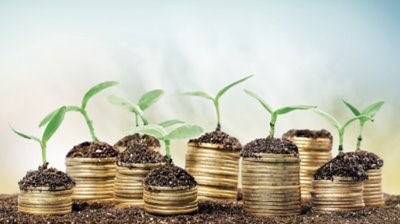 seed fund
