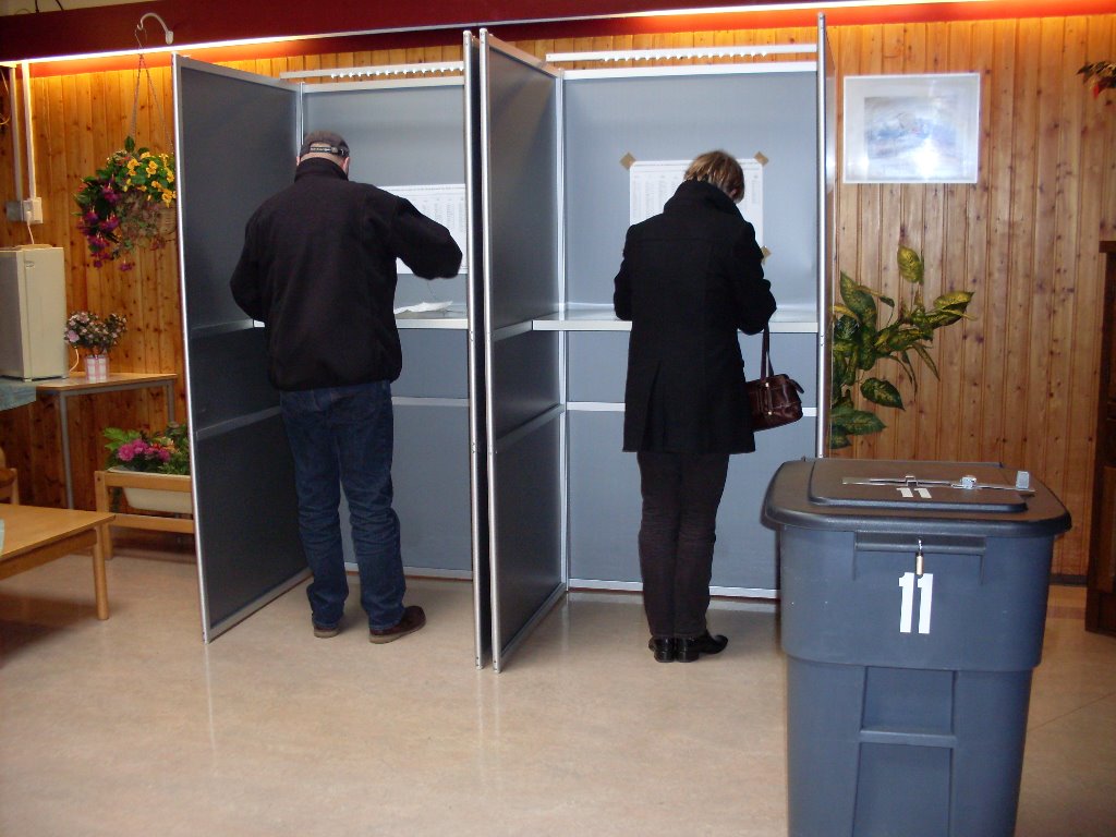 Picture of voters