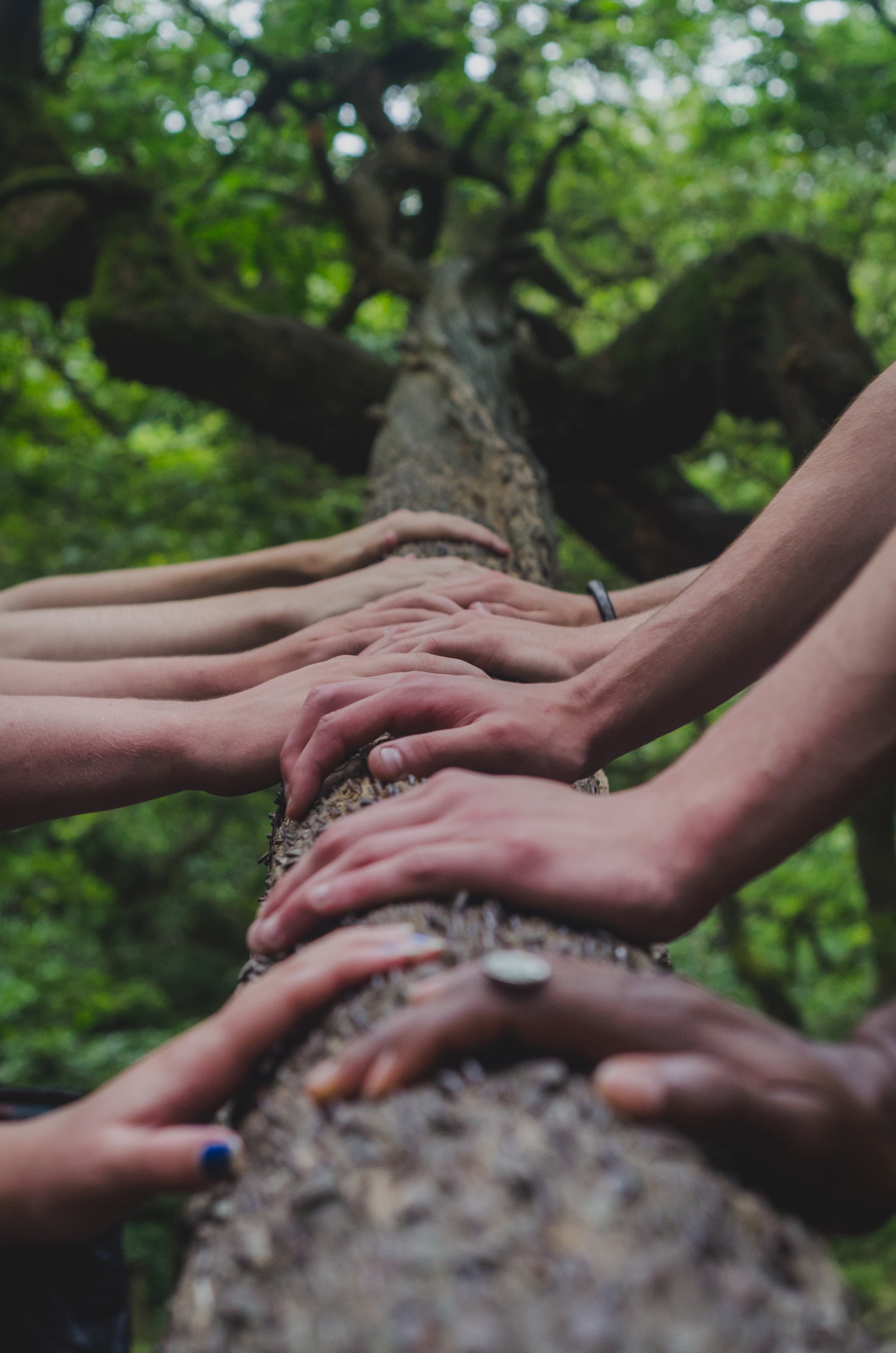 sustainablity collaborations