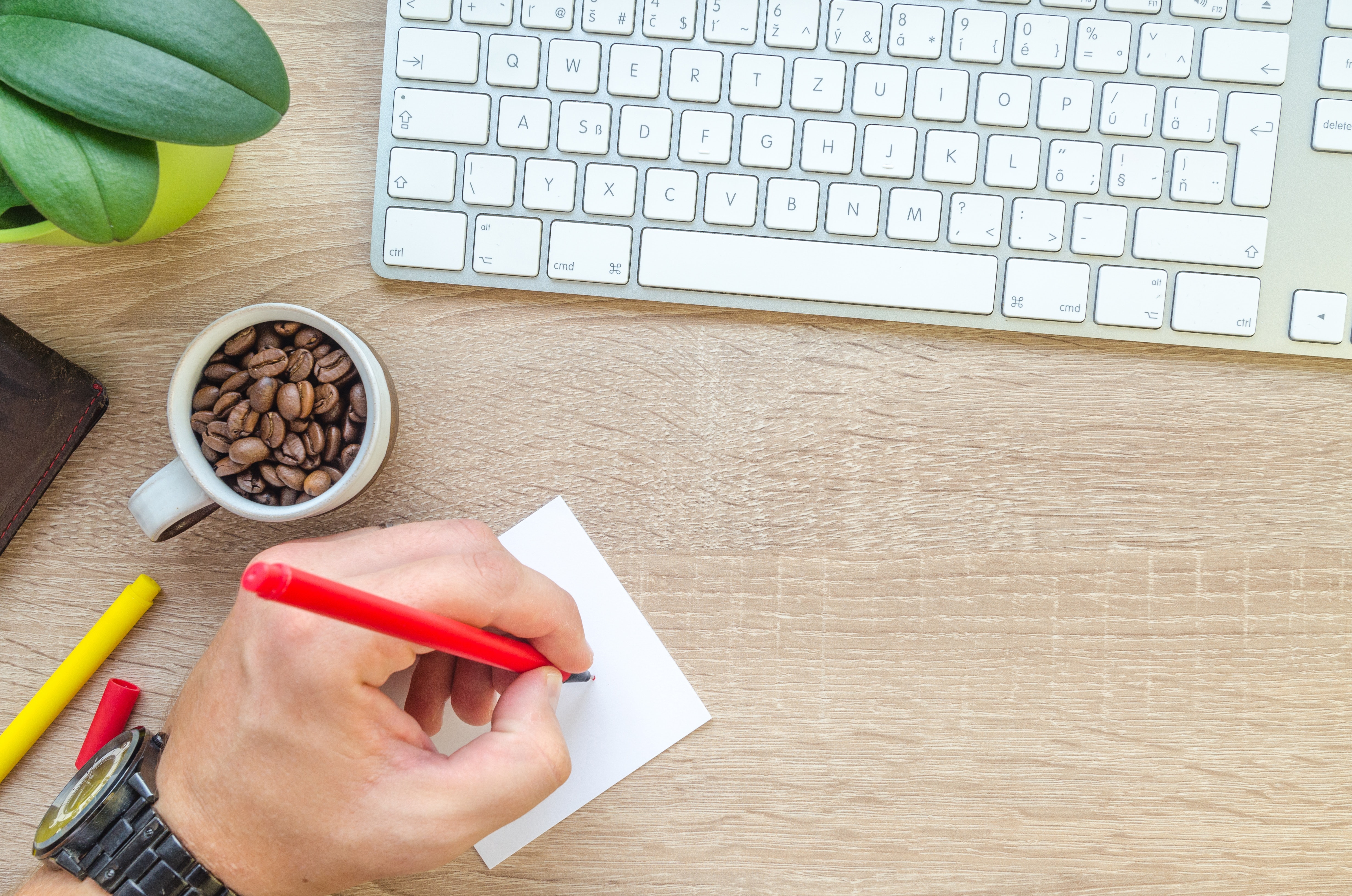 Stock-plant-hand-coffee-pen