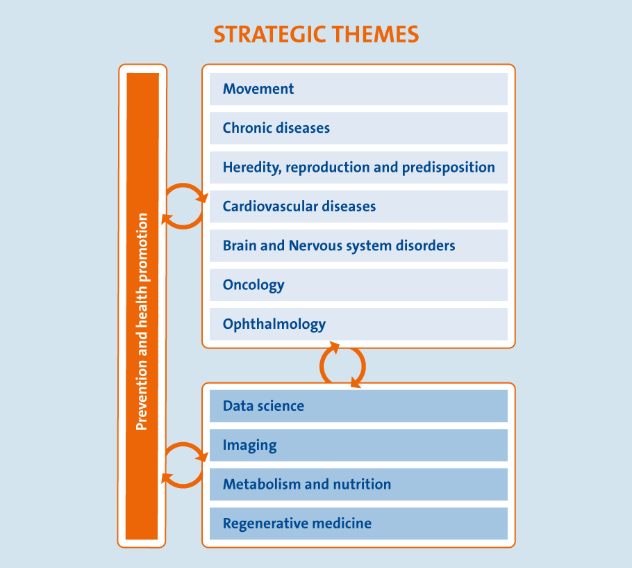 Strategic Themes