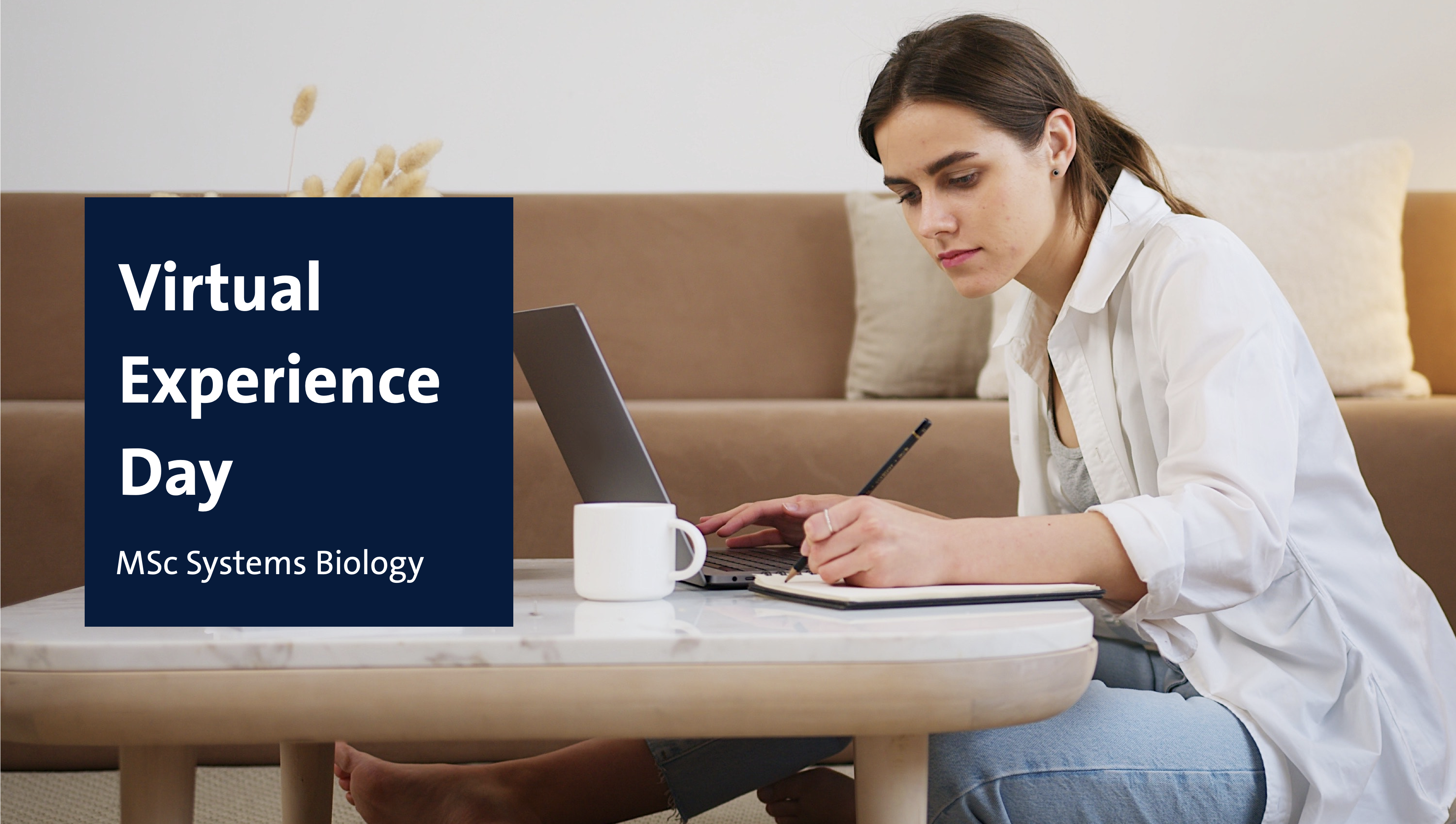 Systems-biology-virtual-experience-day-ved-27-january