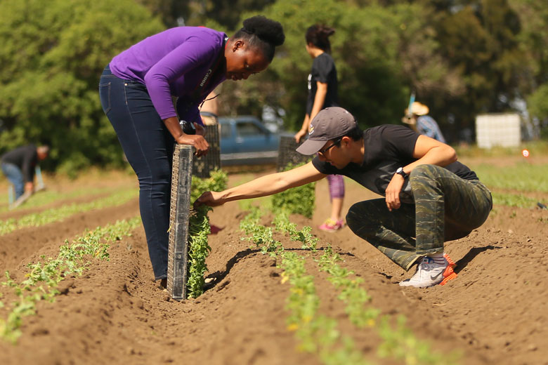 Test image with some students in a green setting garden plants