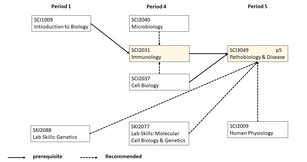 Immunology in UCM