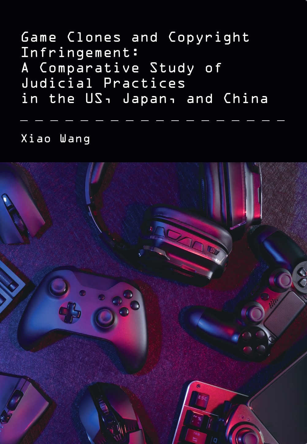 thesis on law and economics wang