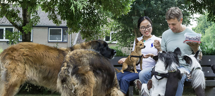 Pim Martens feeding the animals